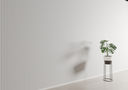 SWP03_soft-white_Y23_design6.png