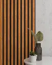EWP01_carenta_MD01_black-board.webp